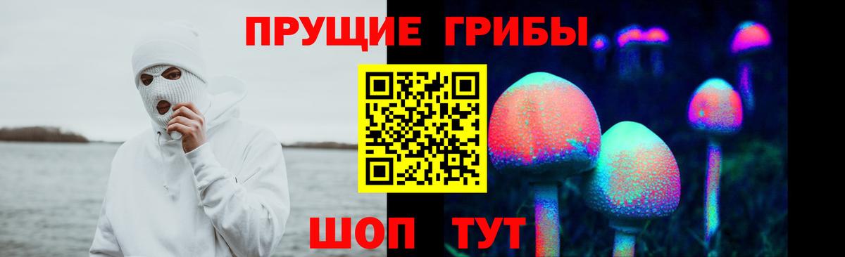 Псилоцибиновые грибы Cubensis  Вход с VPN  Лыткарино 
